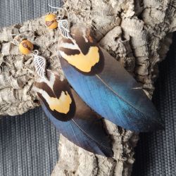 pair of feather earrings